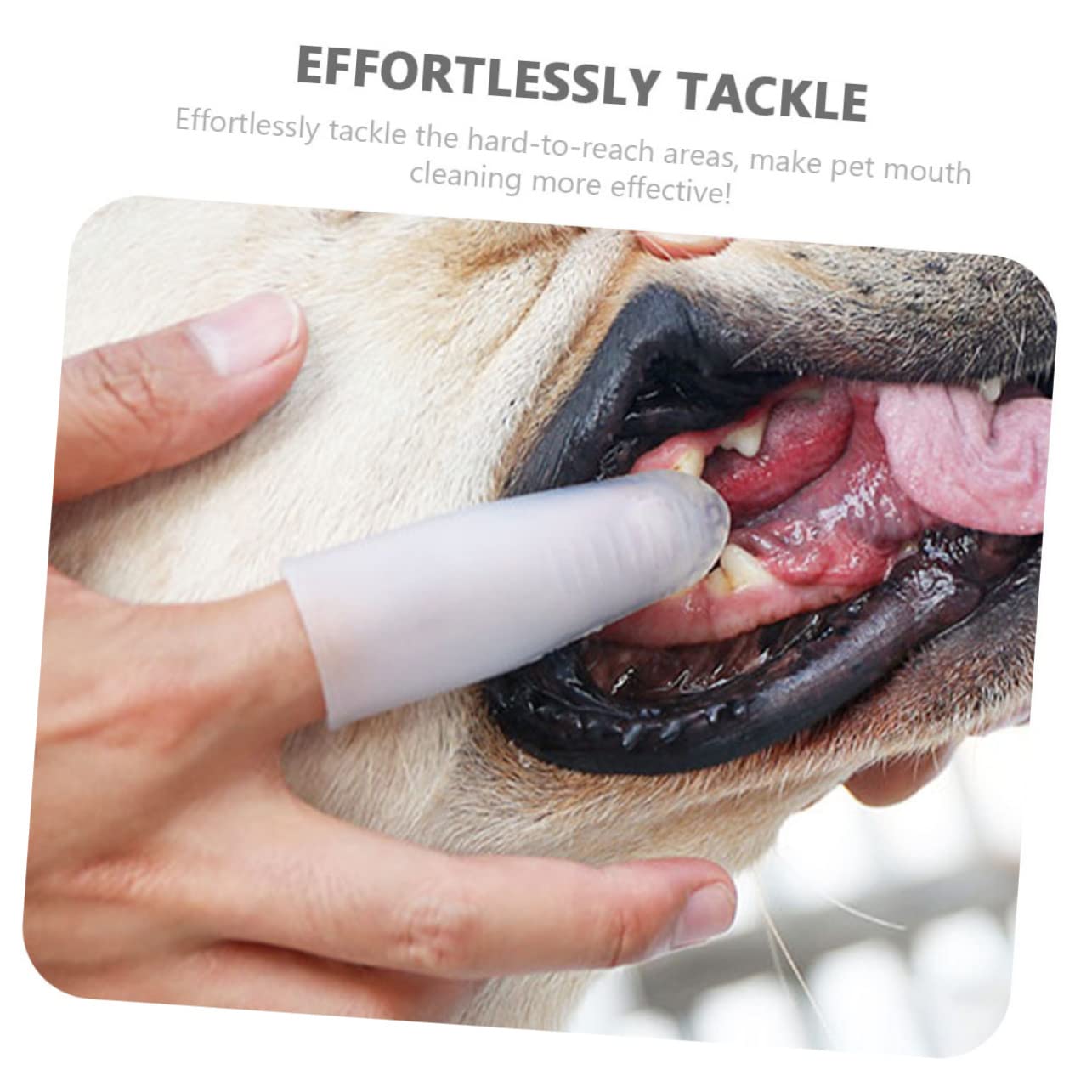 Sosoport 4pièces Brosse à Dents Pour Chiens Silicone Outil De Soin Pour Animaux Brosse à Doigts Douce Pour Nettoyage Des Dents Des Chiens Chats