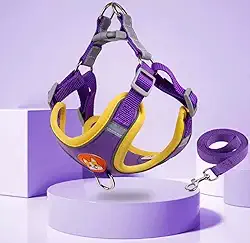 Coleira Peitoral para cachorro pequenos e médios com guia para pet colete confortável (Roxo, 10-14 KG)
