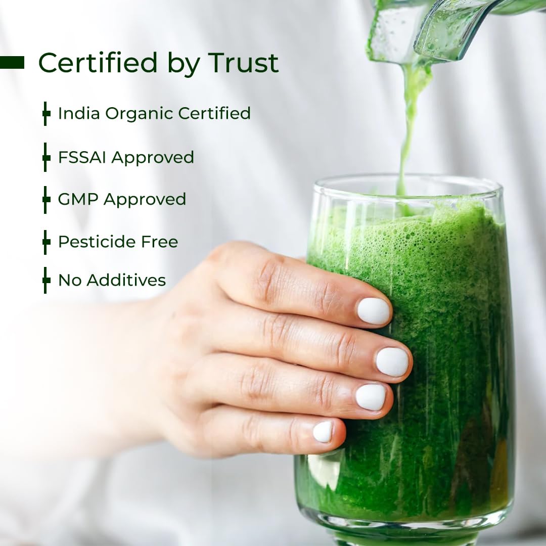 Buy Now 100% Organic Moringa Powder 250G | Moringa Leaves Powder | F... 6 Buy Now 100% Organic Moringa Powder 250G | Moringa Leaves Powder | F...