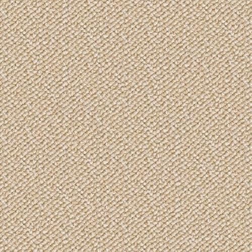 y[J[ybgV[Y Ni ԃTCYzhEdEh(SG&SH)Eh_jRہEVітłɂEJ[ybgEO~(イ)EOEx[vpC (CN-6063 Th, 8(364×364cm))