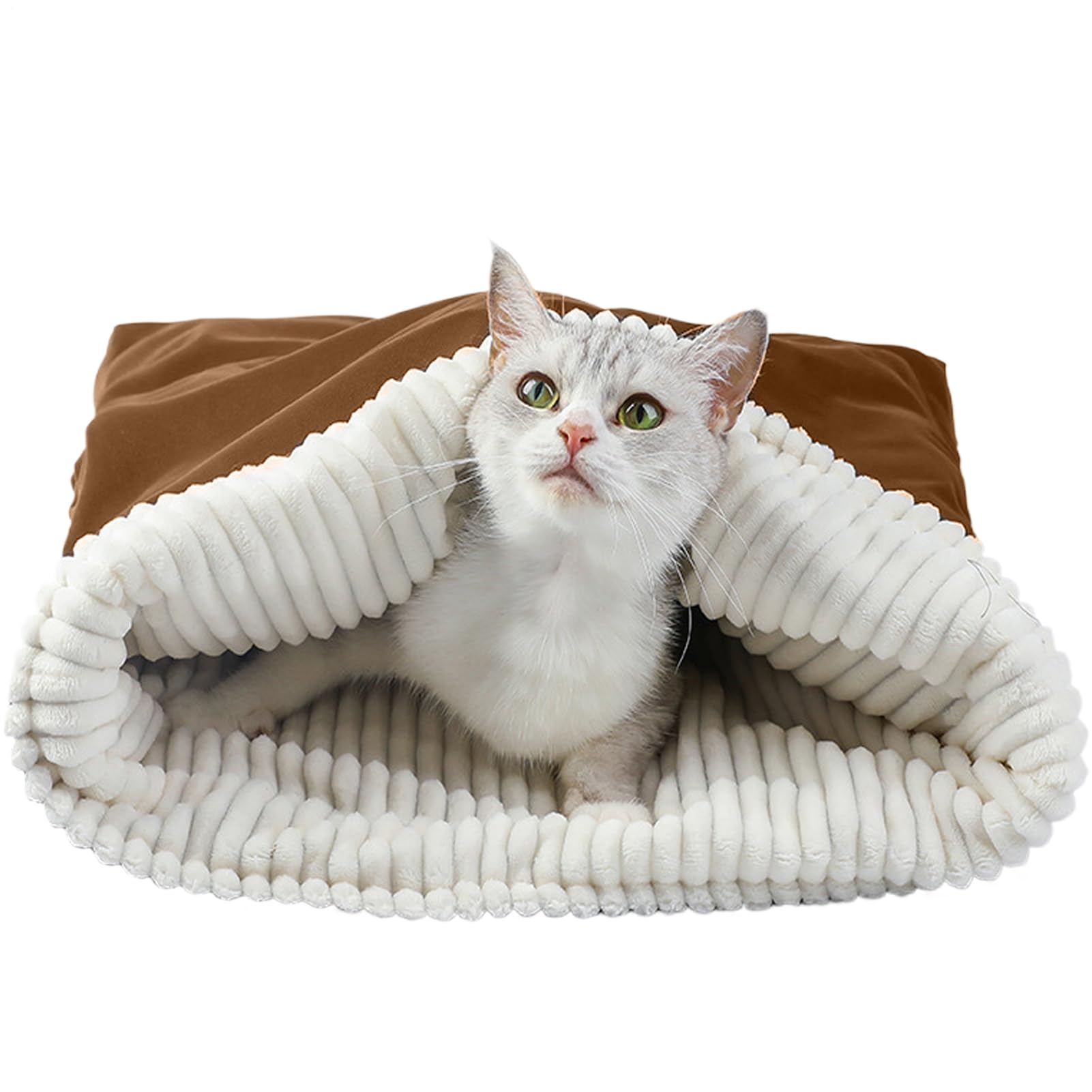 Lit pour chat chaud Pelugo Catto, sac de transport pour petit animal domestique et voyage auto