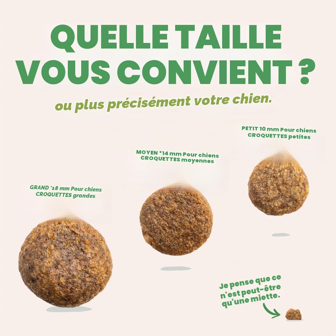 Edgard & Cooper Croquettes Chiens, Adultes, (Agneau Frais, 2,5kg), croquants Chien, Viande fraîche et ingrédients naturels, sans céréales, hypoallergénique, sans sucres ajoutés