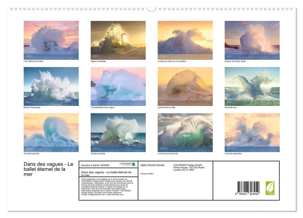 Dans des vagues - Le ballet éternel de la mer (Calendrier mural 2026 DIN A2 vertical) calendrier de bureau: Célébrant la danse intemporelle et captivante des vagues de l'océan.