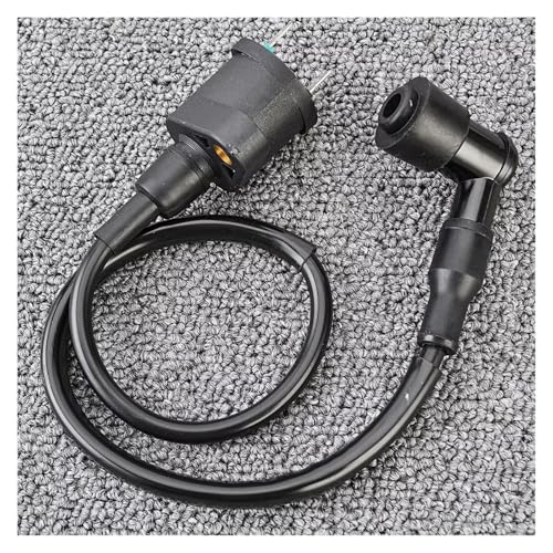 Bobina de encendido para motos T-rex y Skymax Sport Utility con rendimiento estable 5