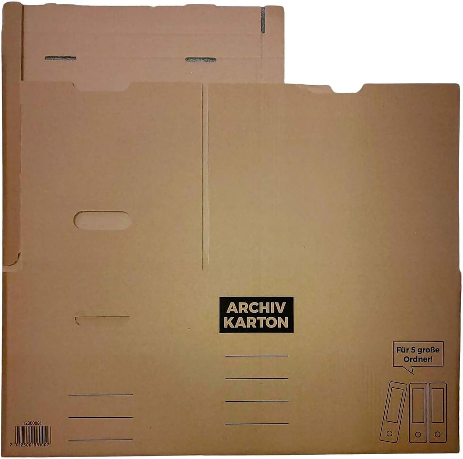 Archivkarton 10er Aktenkarton A4 Ordnerbox Archivbox Klappdeckel Stabil | BURI, je 5 Ordner, Archivschachtel, Dokumentenbox, Transportbox, Organisation, Büro, Lagerung, Wellpappe, robust