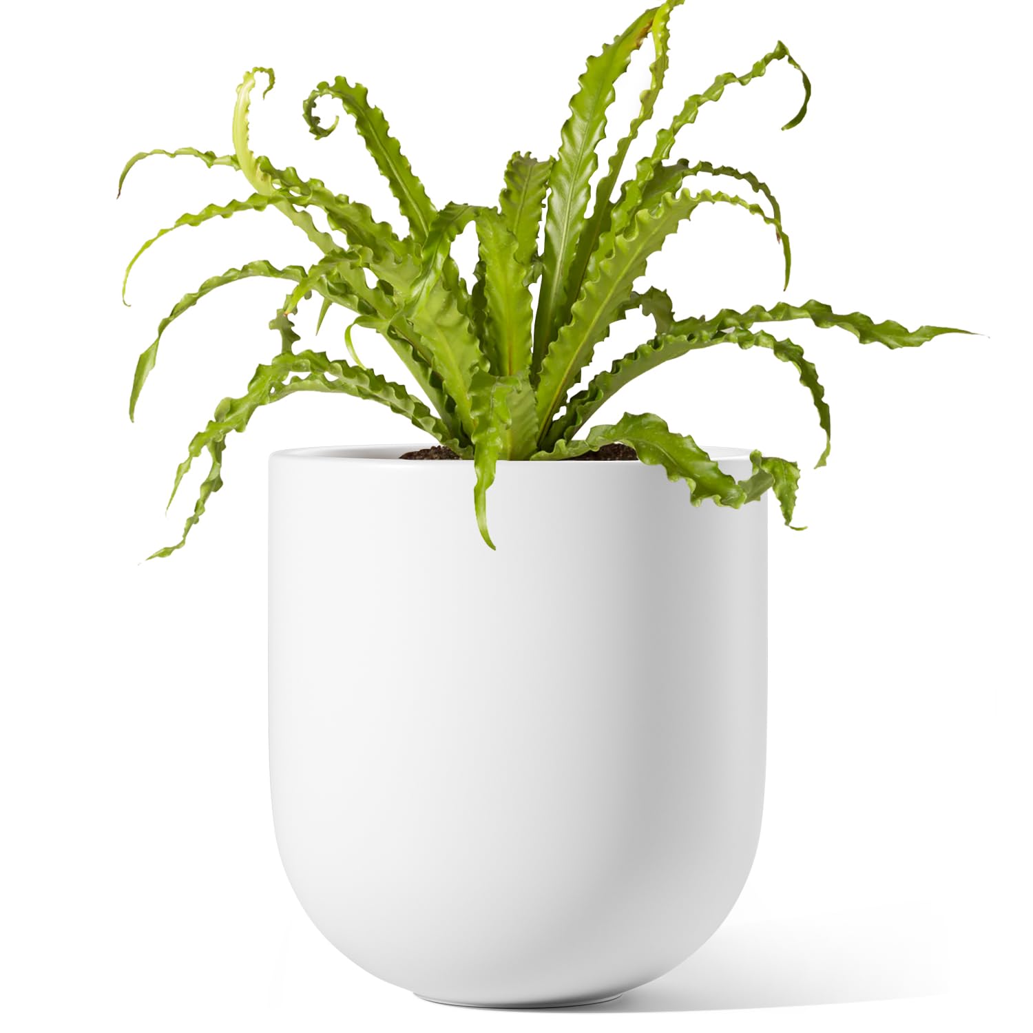 LE TAUCI 15 cm Plant Pot, Ceramic Pot with Drainage Hole & Rubber Plug, Indoor Planter for Herbs & Small Houseplants, Cylinder Planter for Home Office, Wihte — image 1