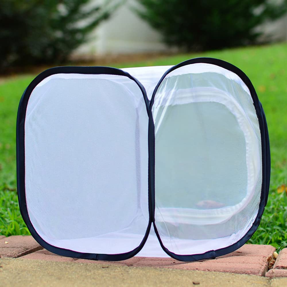 QIODAZOO Terrario Per Insetti Pieghevole 30x30x30 Cm - Gabbia Per Farfalle Con Rete Mesh Traspirante