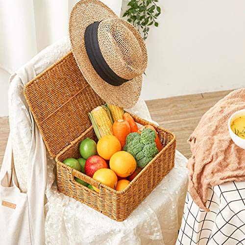 EZOWare Set di 3 Cestini Portaoggetti con