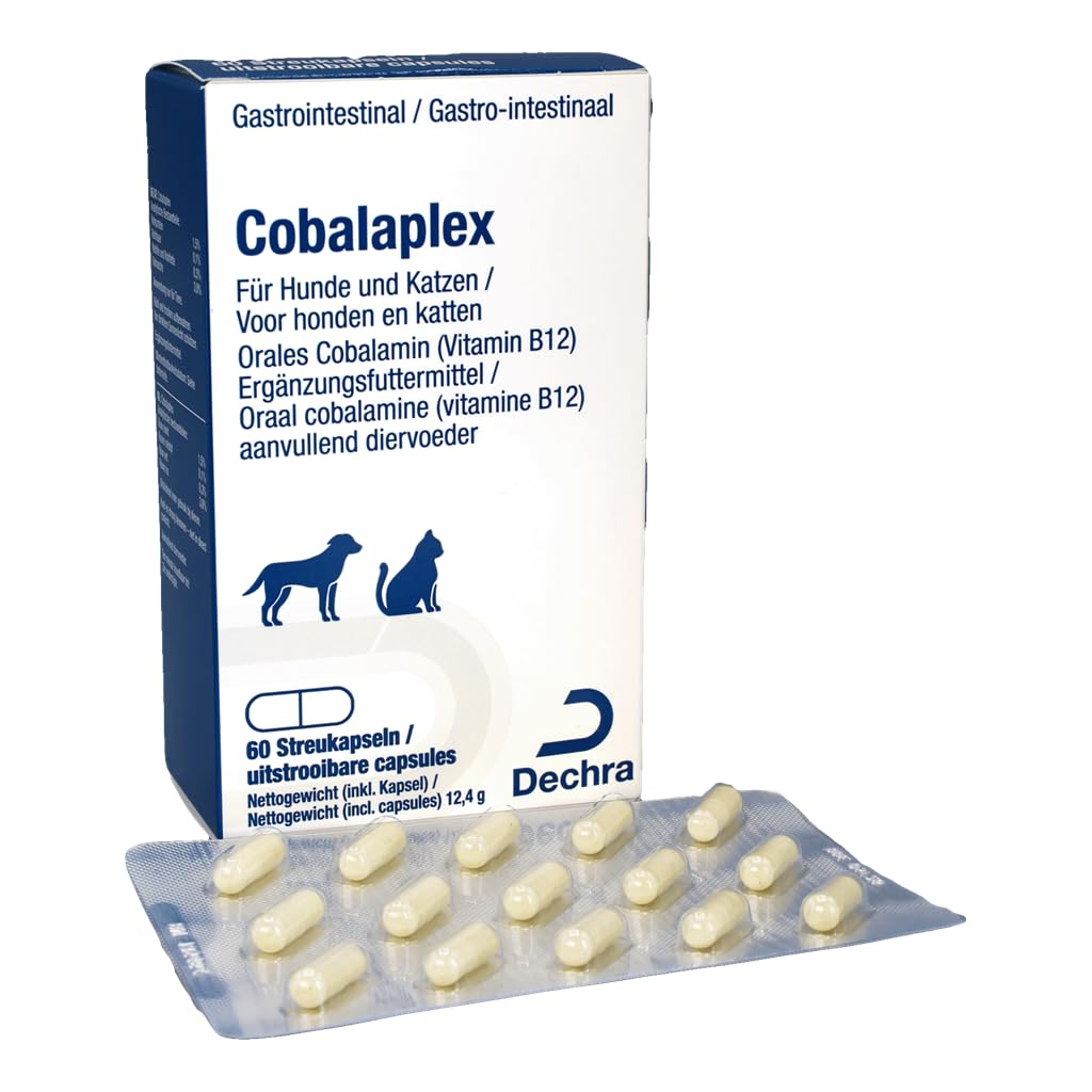 Dechra Cobalaplex | Doppelpack | 2 x 60 Kapseln | Ergänzungsfuttermittel für Hunde und Katzen | Mit Vitamin B12