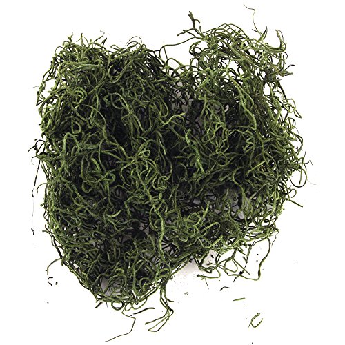 Rayher 8501029 - Musgo da selva (20 g), cor verde