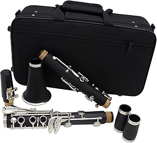 Bb Clarinet 17 Key Wooden Professional Wood Instrument Alto Clarinet With Box Clarinet for Beginner