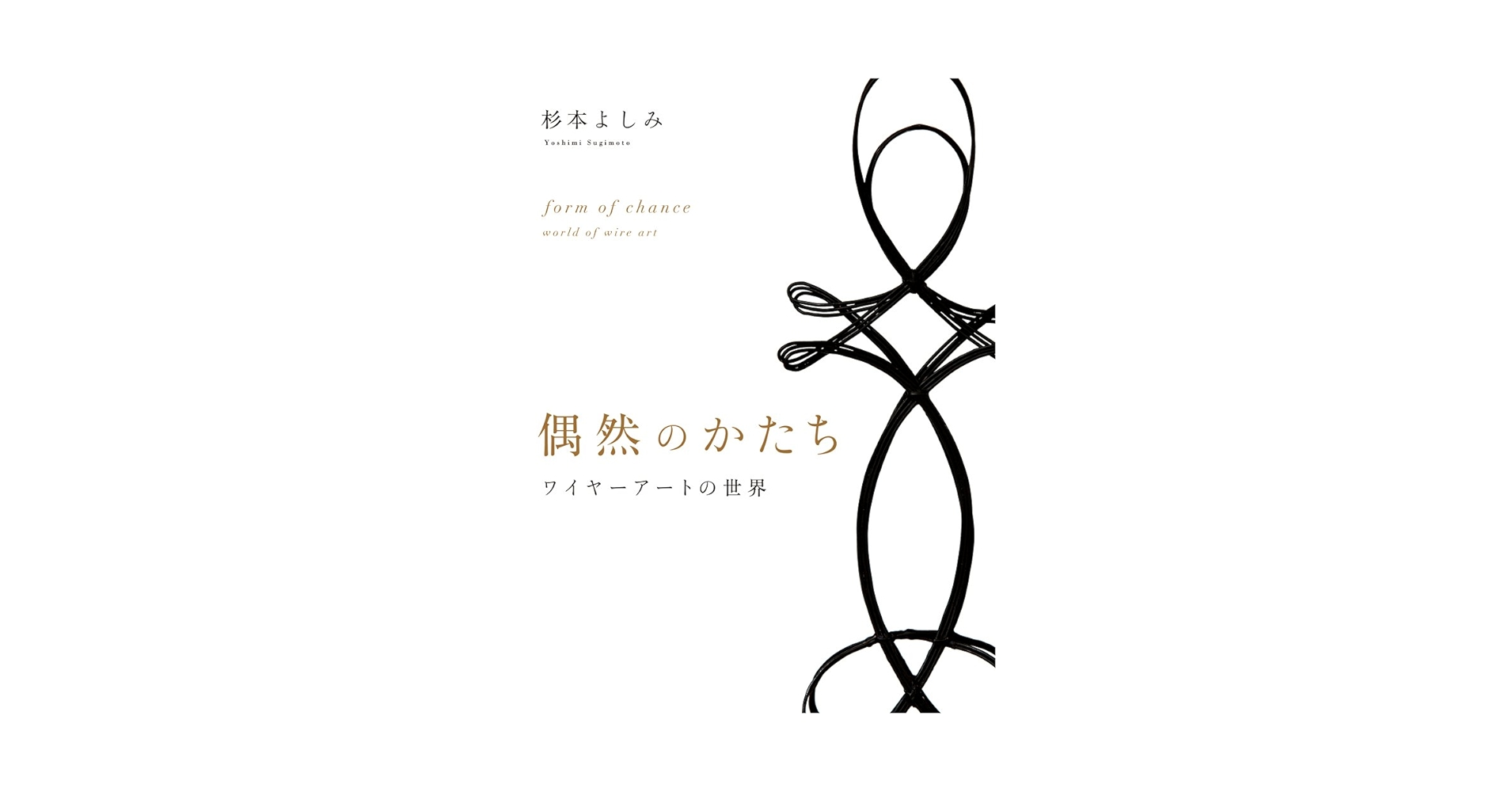 偶然のかたち ワイヤーアートの世界　帯付き　大型本 61he3wZOeiL.jpg_BO30,255,255,