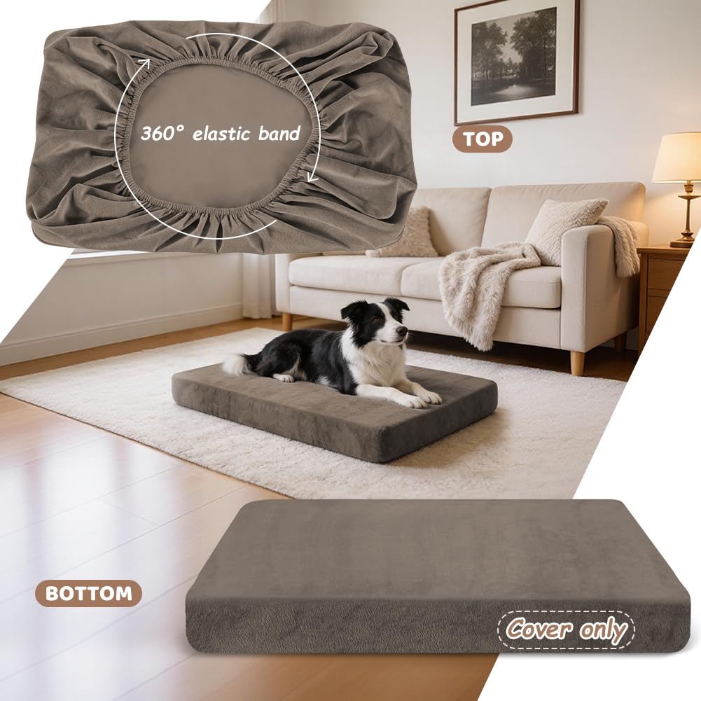 DUJUIKE 100% Copriletto Impermeabile per Cani, coprimaterasso in Velluto per Cani, copriletto in Morbida Peluche, copriletto di Lavabile e Rimovibile per Animali Domestici, con Elastico (caffè,S)