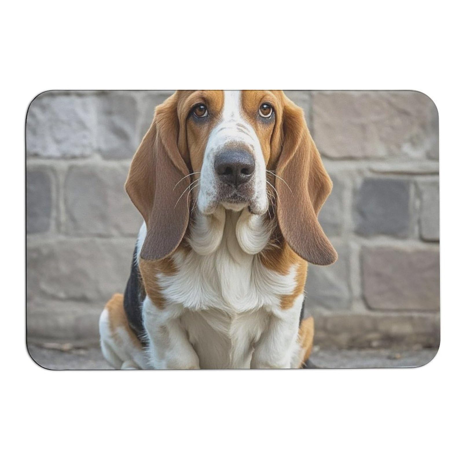 Tapis de sol Basset Hound en diatomite absorbant l'humidité avec dos caoutchouc