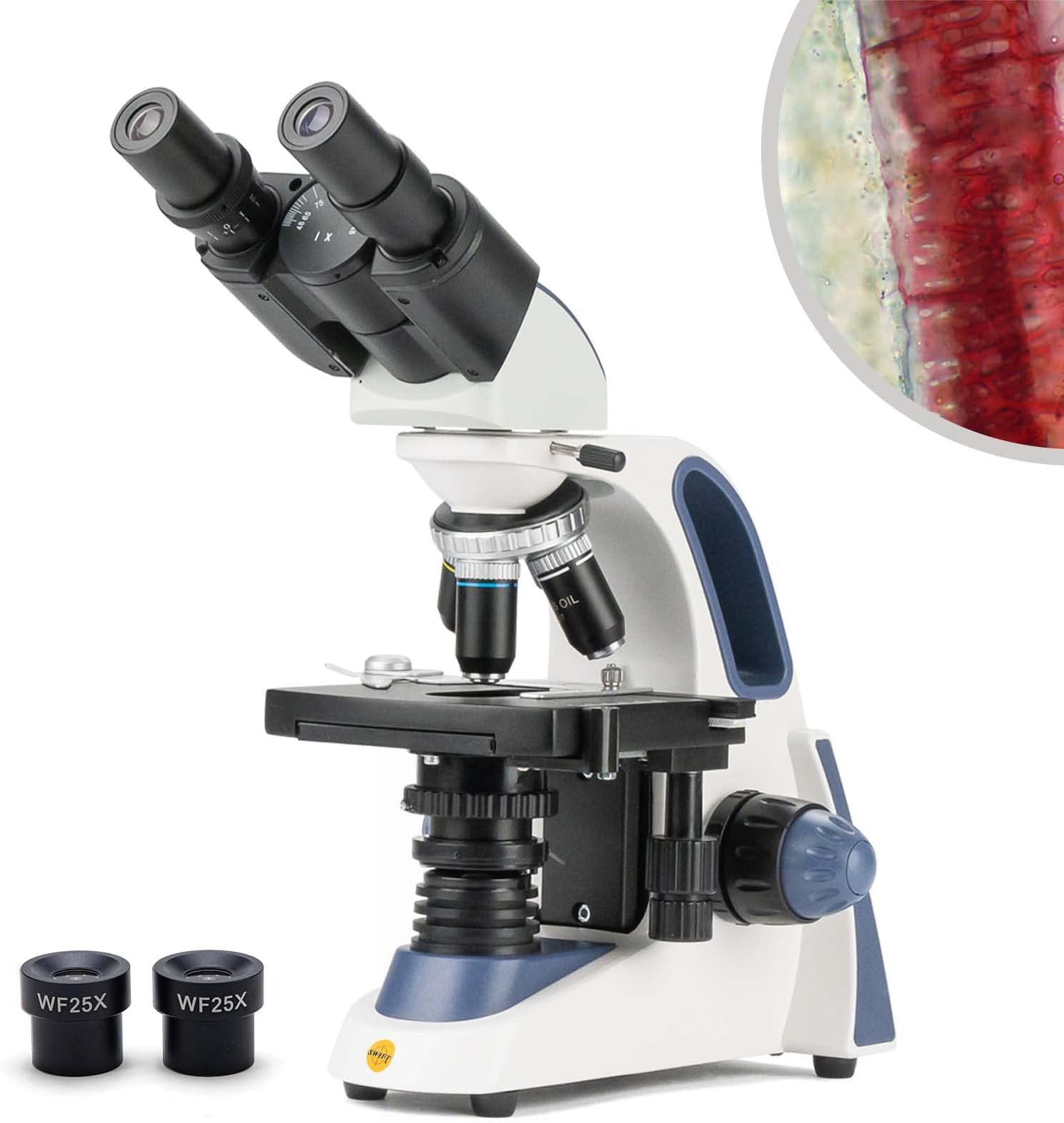 SW380B Professional Binocular Compound Microscope,40X-2500X,Siedentopf Head,Brightfield, LED Illumination, Abbe Condenser, Double-Layer Mechanical Stage