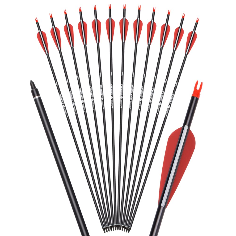 NIKA ARCHERY 12er Pfeile für Bogenschießen 28 30 31 Zoll Carbonpfeile Erwachsene Jagdpfeile 500 Spine Bogen Pfeile für Recurvebogen Compoundbogen Langbogen