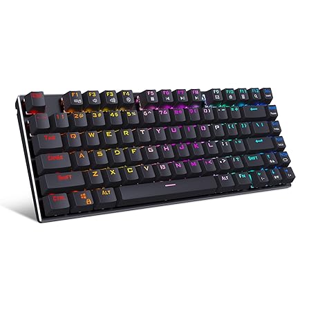 HUO JI E-Yooso Z-88 RGB Mechanical USB Gaming Keyboard with Metal Panel, Blue Switches - Clicky, Compact 81 Keys Hot Swappable for Mac, PC (Black)