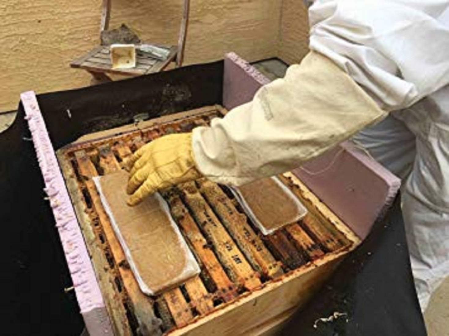 VILLAGE GIFT IMPORTERS Pollen Patty | High Protein Formula | Supplementary Feed for All Levels of Beekeepers - Image 2