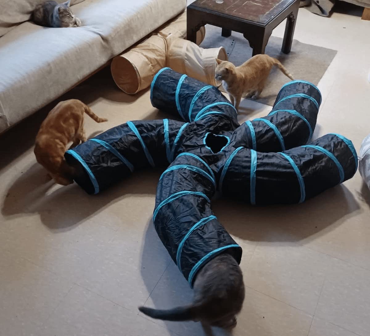 Túneles para gatos, hurón, conejo, conejo, tubos, hábitats de metro, estilo S, bricolaje para gatos, casa de campaña, juguete interactivo para gatitos (tipo S: tubos de 5 vías)