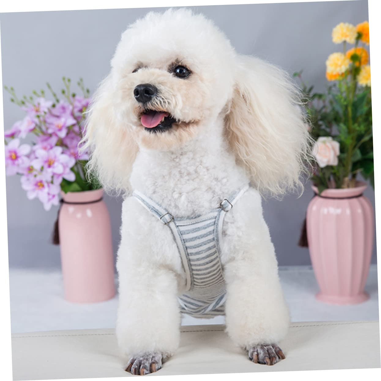 Garneck Girl Dog Menstrual Pant Reusable Dog Diapers Puppy Sanitary Panties Suspenders