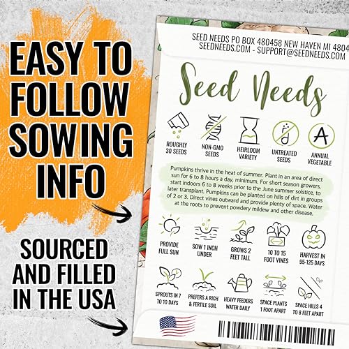 Seed Needs Pumpkin Seeds for Planting Spooky Blend - 30 Premium Heirloom Seeds (Lumina White, Jack O Lantern, Baby Boo, Blue Jarrahdale, Cinderella & More!) Non-GMO & Untreated (1 Small Pack)