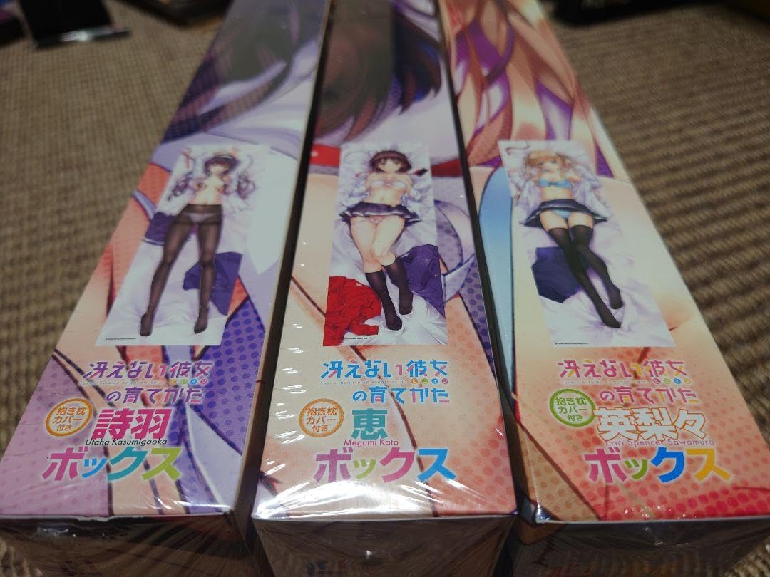 Amazon.co.jp: 冴えない彼女の育てかた 詩羽 恵 英梨々 3BOX 抱き枕 