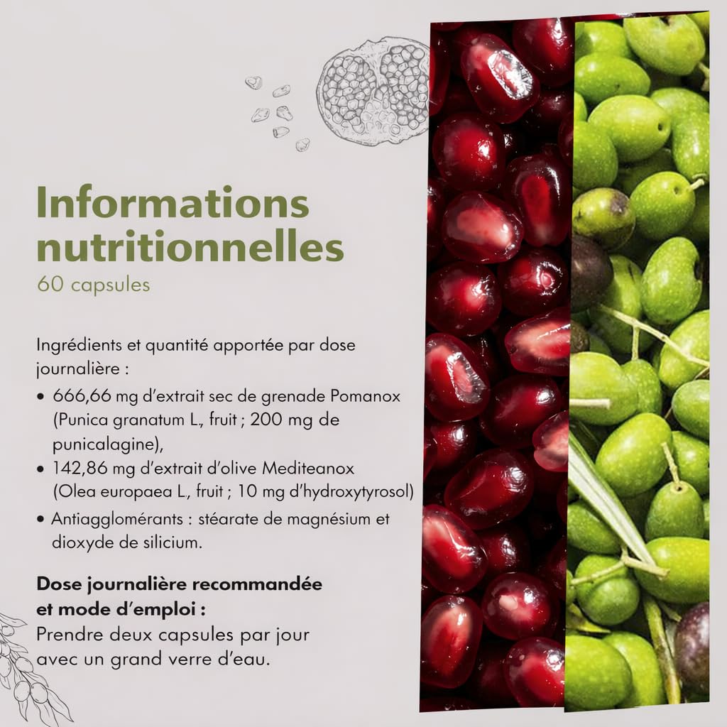 Granatum Plus - Punicalagine et Hydroxytyrosol - Extrait de Grenade et d'Huile d'Olive Extra Vierge - Antioxydant et Anti-inflammatoire - Soin de la Peau - Produit en Espagne - 1 Boîte de 60 Gélules