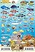 Curacao Reef Creatures Guide Franko Maps Laminated Fish Card 4
