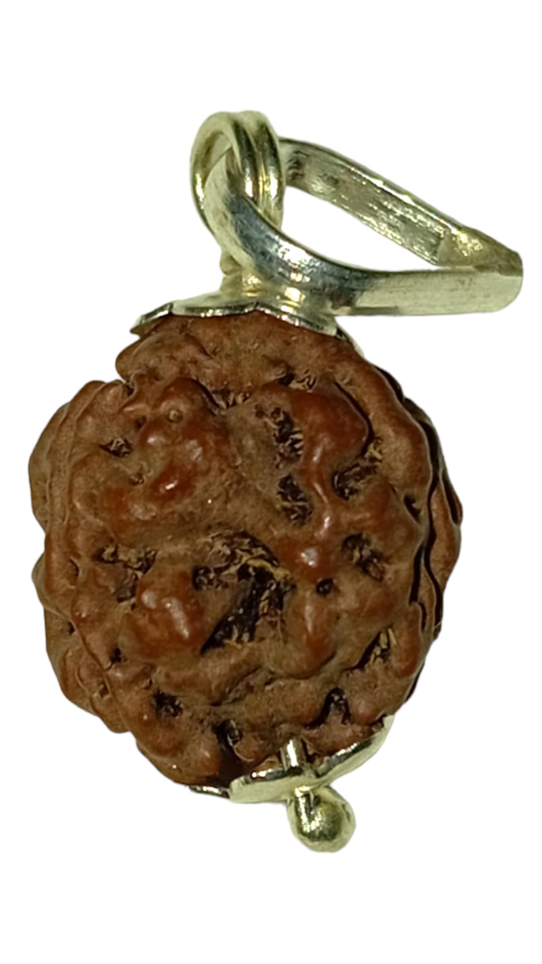 3 Mukhi Nepali Rudraksha Original Certified | for Men and Women | in a Sealed Pack Box | with Certification | by Shree Rudraksham | (B0BRJ9SC3Y) Amazon Price History, Amazon Price Tracker