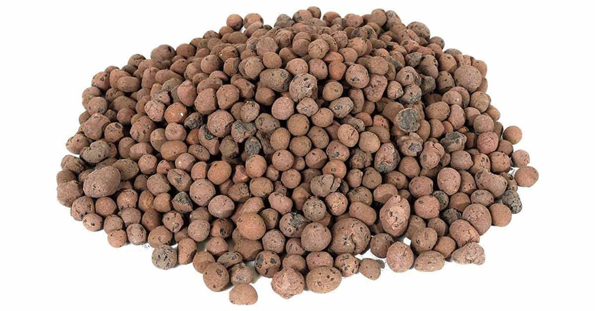 Terflor Argilla ESPANSA LT 50 Misura 8-20 mm Pacciamante per Piante in Vaso Giardino