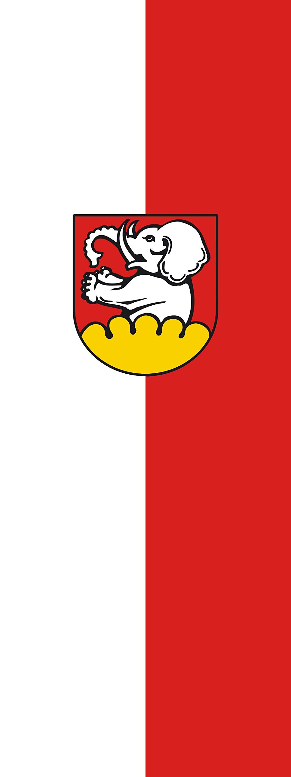 Drapeau portrait Wiesensteig 6m² de haute qualité pour mât d'ornement extérieur