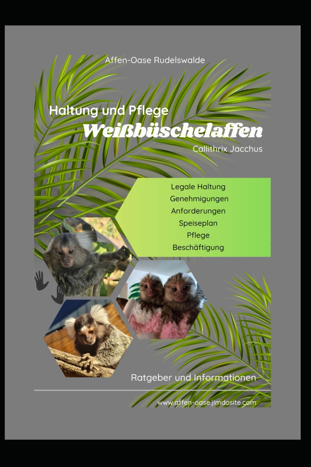 Haltung und Pflege von Weißbüschelaffen (Callithrix Jacchus): Legale Haltung,Genehmigungen,Anforderunge,Speiseplan,Pflege,Beschäftigung