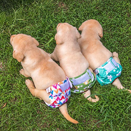 CuteBone Hundewindeln für Weibliche Welpen, Waschbar und umweltfreundliche Damenbinden Höschen für Ungeübte Welpen, Hunde in Hitze, Menstruation und Inkontinenz
