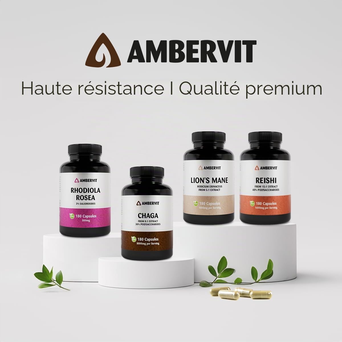 Chaga 8000 mg – 180 Gélules – 30% Polysaccharides Bioactifs – Double Extrait du Corps Fructifère Fortement Dosé – Récolté à l’État Sauvage sur Bouleaux d’Europe du Nord – Ambervit