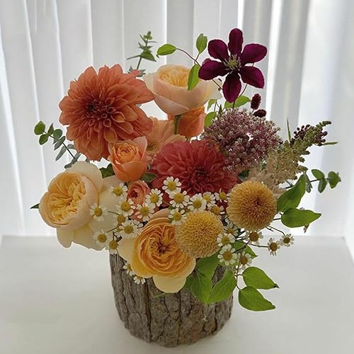 Miniatura 3 de 2 macetas de tronco de árbol, corteza de madera, suculentas, cubo, rústico, natural, cactus, maceta, florero, contenedor para arreglos florales de