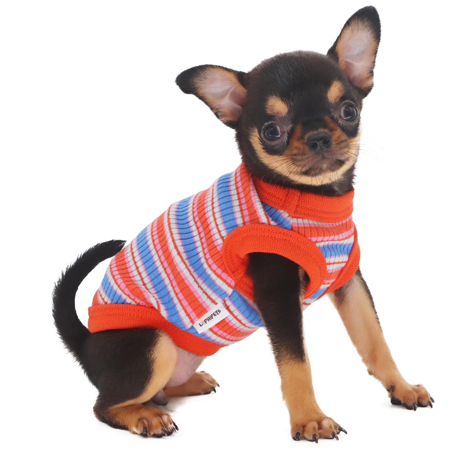 LOPHIPETS Camiseta sin mangas para perros pequeños, 100 % algodón, para perros pequeños, taza de té, chihuahua, yorkie, ropa para cachorros, color rojo/XXS
