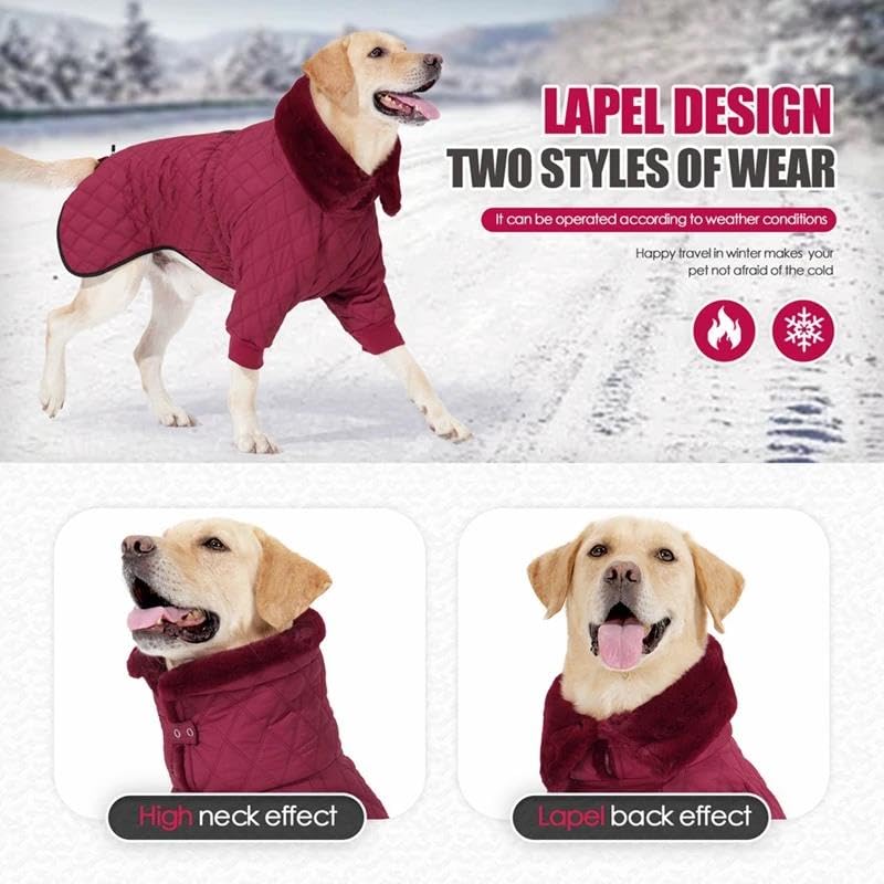 Ropa Cálida para Mascotas para Clima Frío, Impermeable Al Aire Libre, con Cremallera, Chaqueta para Perros, Abrigo Grueso Y Cálido para Perros, Ropa para Perros De Nieve, Abrigo para Labrador, Pa