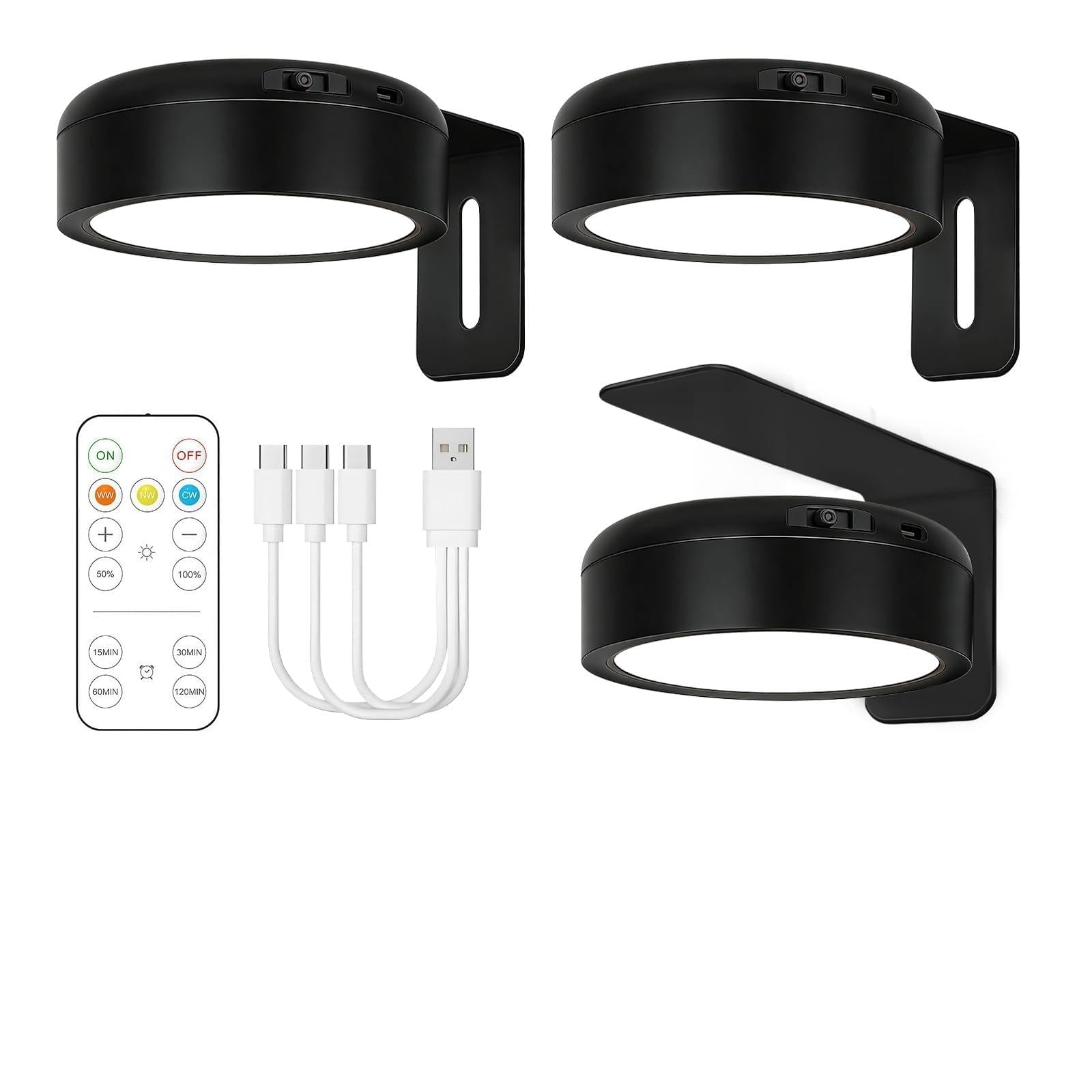 AMFUN Magnetic Painting Light, Rechargeable Battery Magnetic Poster Lights with 3 Color Temperature & Dimmable & Timer Remote Control for Art Display, Cabinets, Office Desks(Black)