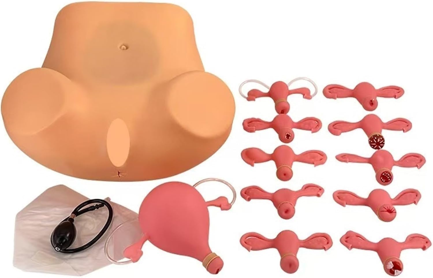 Female Gynecological Manikin Model, Female Reproductive Organs Model Organs Model, Birth Simulator Anatomy Manikin, Child Birth Simulator Childbirth Demonstration Model for Gynecology Teaching