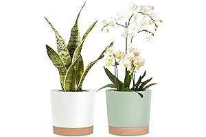 kubvici 8'' Planter with Drainage Tray