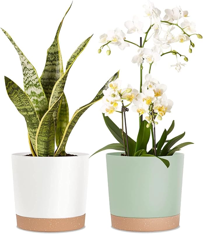Kubvici Macetas de plástico de 8.0 in, juego de 2 maceteros para interiores y exteriores con platillo de drenaje para jardín y hogar (verde y blanco, 8.0 in)