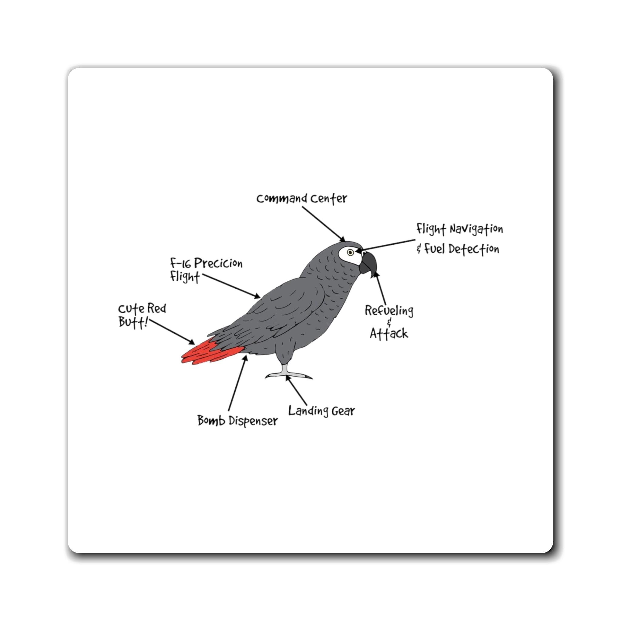 Teegarb Letter Blanket Novelty African Grey Parrot Anatomy Graphic Tee Shirt Gift | Cute Birds Physiology Enthusiast Men Women T Shirt Magnets 4" × 4"