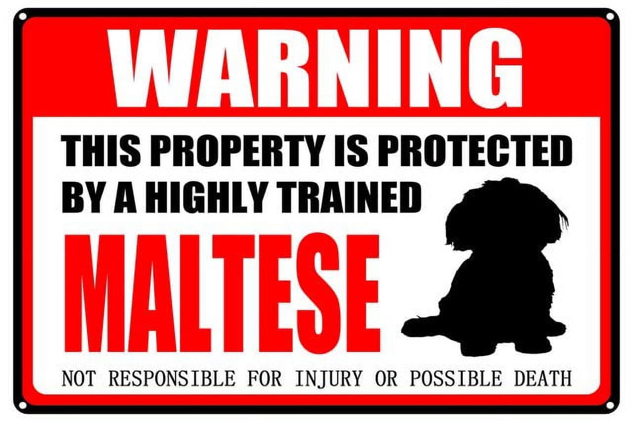 Maltese Warning Aluminum Metal Sign 12"x8" Pet Gift For Dog Owners - This Property Is Protected By Highly Trained Maltese