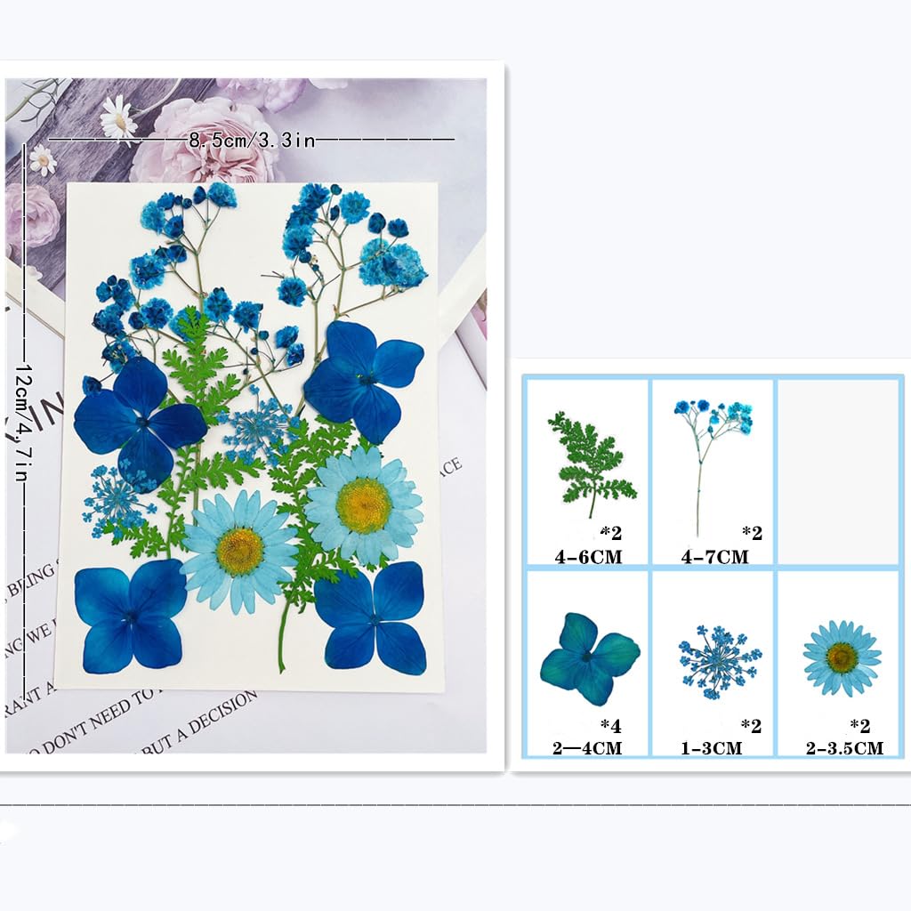 72 Piezas Flores Secas Naturales Mixtas Flores Secas Prensadas Kit de Hojas Secas Hierbas Naturales para Resina Álbumes de Recortes DIY Regalo Scrapbooking Joyas Uña Pendientes Arte
