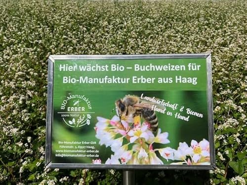 Bio-Buchweizenmehl 500 g, glutenfrei zertifiziert, aus geschälten Bio-Buchweizenkörnern aus Oberbayern/Deutschland, vegan, vegetarisch, bestens für Pfannkuchen und Brotbacken geeignet