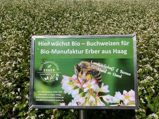 Bio-Buchweizenmehl 500 g, 'glutenfrei' zertifiziert, aus geschälten Bio-Buchweizenkörnern aus Oberbayern/Deutschland, vegan, vegetarisch, bestens für Pfannkuchen und Brotbacken geeignet