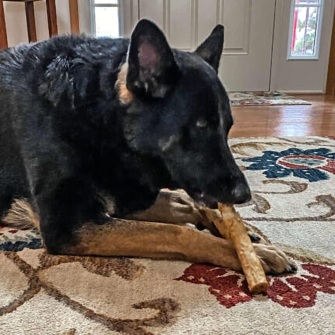 Fieldcrest Farms Nothing to Hide Natural Rawhide Alternative Large 10" Rolls for Dogs - 3 Pack Bundle (Chicken, Beef, Peanut Butter) Premium Grade Easily Digestible Chews - Great for Dental Health