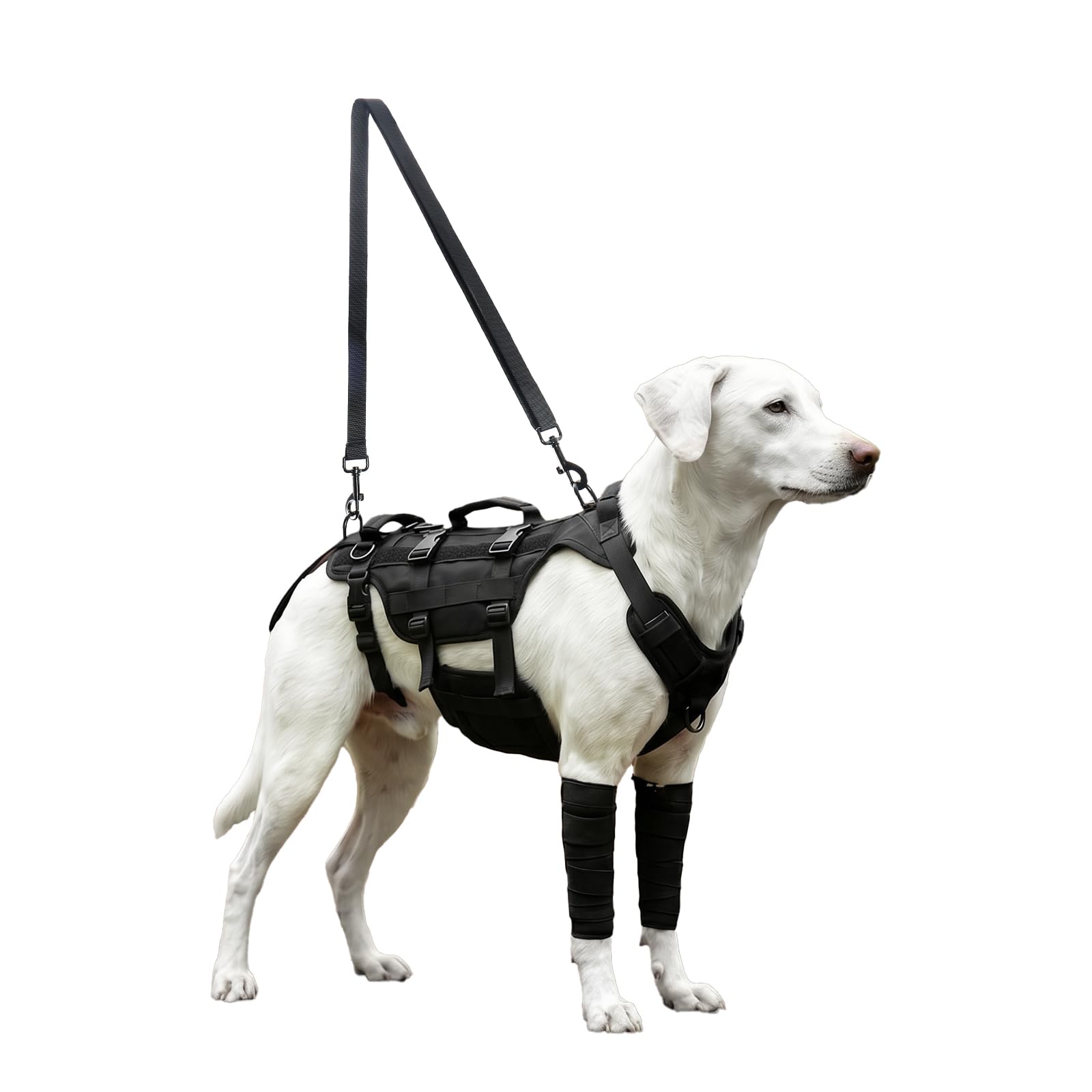 Arnés para Perros, Ajustable con 3 Asas, Ayuda para pasear a Perros, arnés para adiestramiento, Paseos y Actividades al Aire Libre, Negro, Talla M