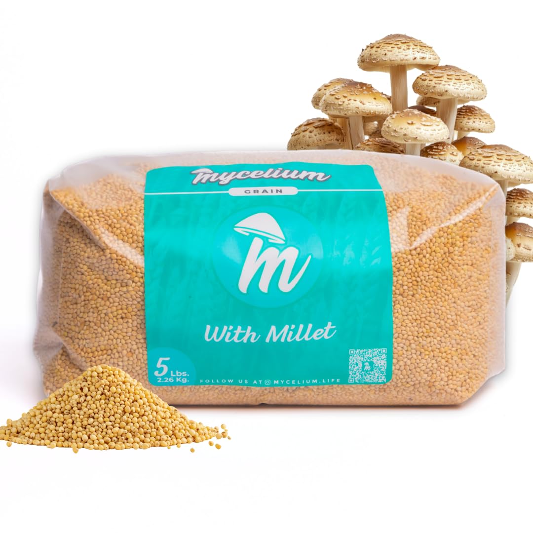 Mycelium 5 lb Millet Mushroom Grain Spawn | Pre-Sterilized Bag with Self-Healing Injection Port – Ideal for Fast, Clean Mycelium Growth | Ready to Inoculate for At-Home Cultivation | Made in USA
