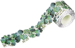 Backing Paper for Wall Displays School | 15m/49ftEucalyptus Border Bulletin Board | Bulletin Board Border for Classroom Decor | Bulletin Wall Decor Trim Leaf Border Wall Decals Border Tropical Leaves